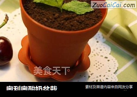 奥利奥酸奶盆栽