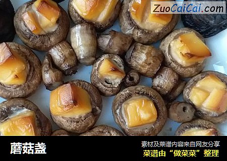 蘑菇盏