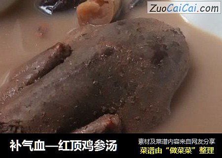 补气血—红顶鸡参汤
