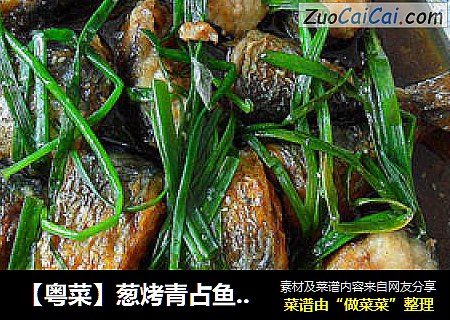 【粤菜】葱烤青占鱼 （老婆必做的一道菜）