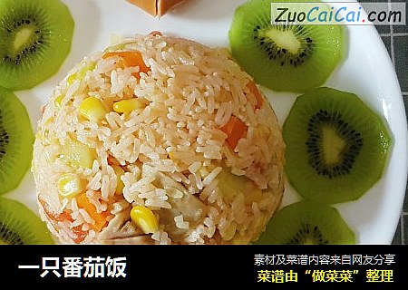 一只番茄饭