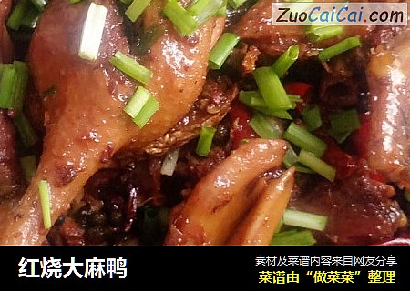 红烧大麻鸭