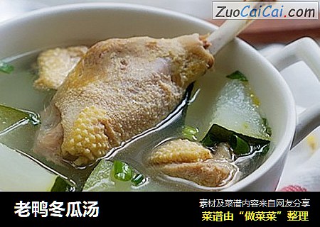 老鸭冬瓜汤