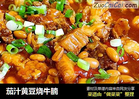 茄汁黄豆烧牛腩