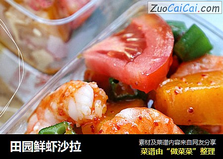 田园鲜虾沙拉