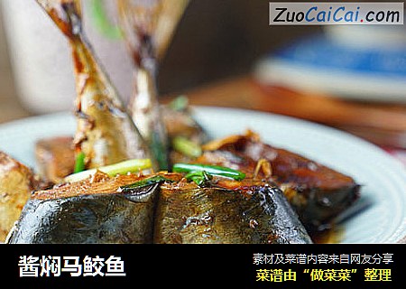 酱焖马鲛鱼
