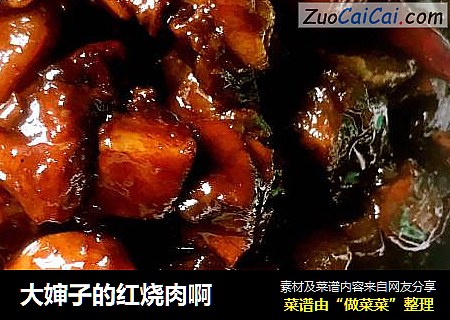 大婶子的红烧肉啊