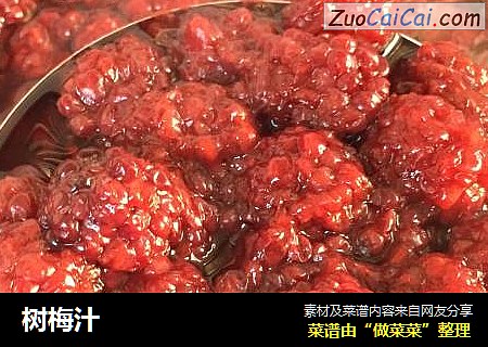 树梅汁