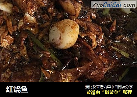红烧鱼