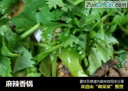 麻辣香锅