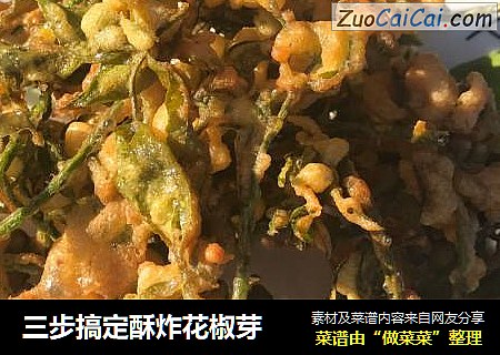 三步搞定酥炸花椒芽