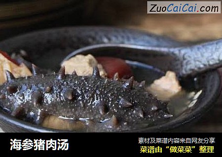 海参猪肉汤