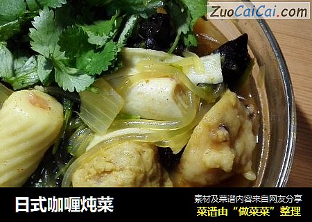 日式咖喱炖菜