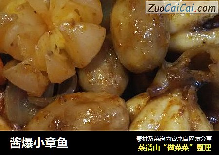 酱爆小章鱼