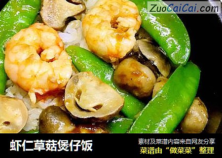 虾仁草菇煲仔饭