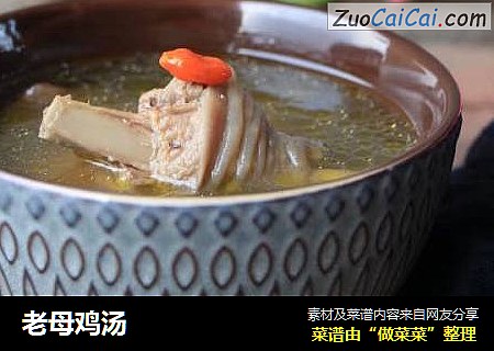 老母鸡汤