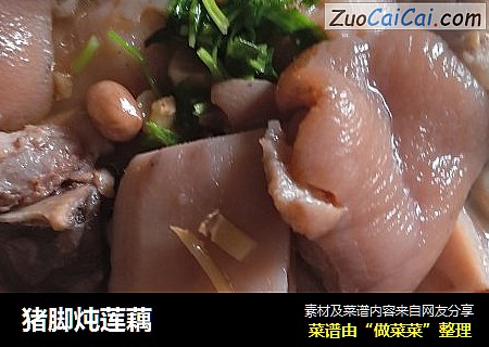 猪脚炖莲藕