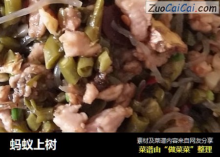 蚂蚁上树