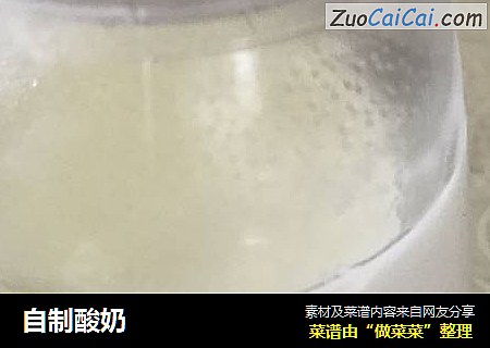 自制酸奶