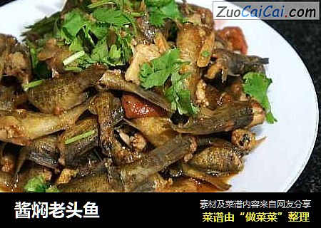 酱焖老头鱼
