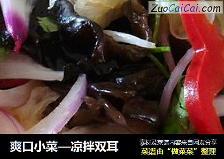 爽口小菜—凉拌双耳