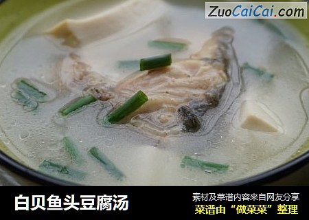 白贝鱼头豆腐汤