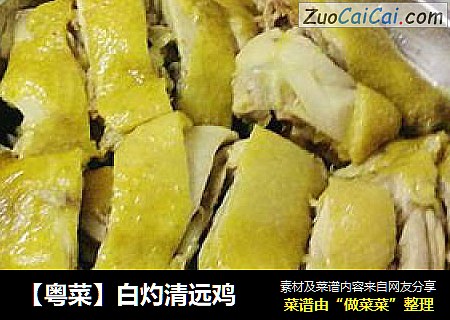 【粤菜】白灼清远鸡
