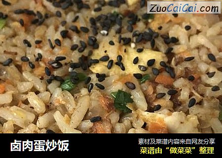 卤肉蛋炒饭
