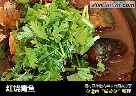 红烧青鱼