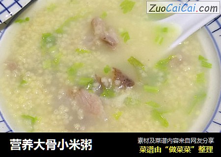 营养大骨小米粥