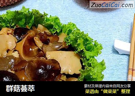 群菇荟萃
