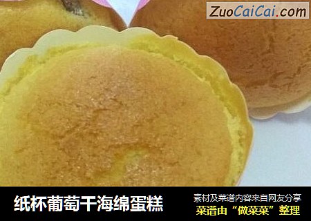 纸杯葡萄干海绵蛋糕
