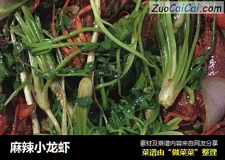 麻辣小龙虾