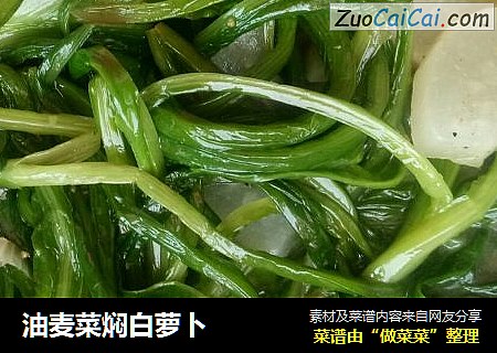 油麦菜焖白萝卜