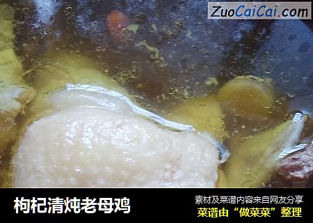 枸杞清炖老母鸡