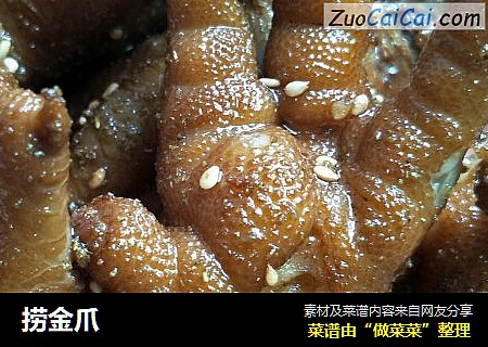 捞金爪