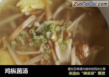 鸡枞菌汤