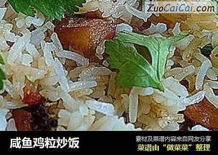 咸鱼鸡粒炒饭