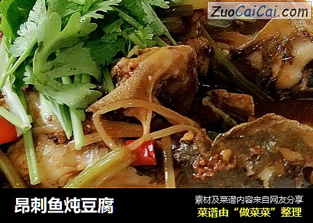 昂刺鱼炖豆腐