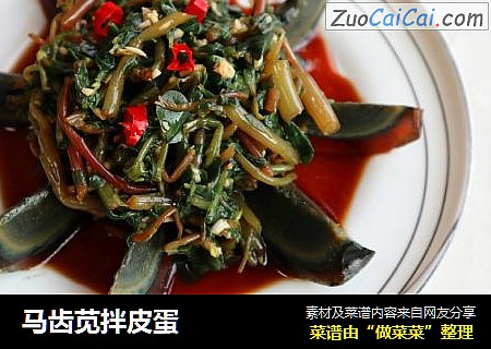 马齿苋拌皮蛋