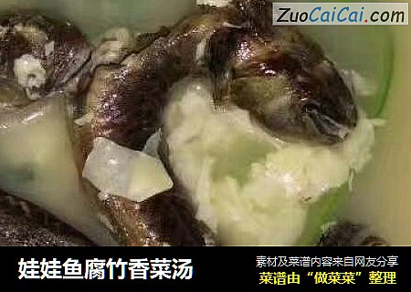 娃娃鱼腐竹香菜汤