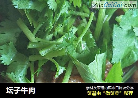 坛子牛肉