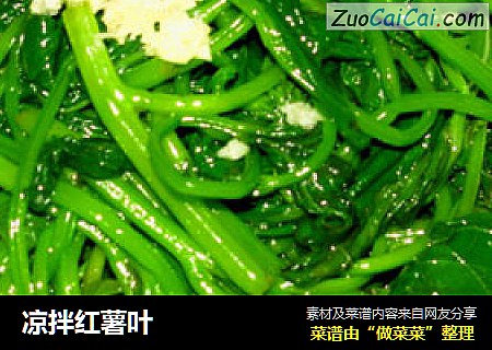 凉拌红薯叶