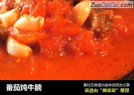 番茄炖牛腩