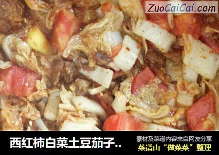 西红柿白菜土豆茄子炒肉