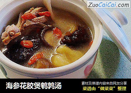 海参花胶煲鹌鹑汤