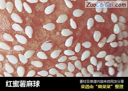 红蜜薯麻球
