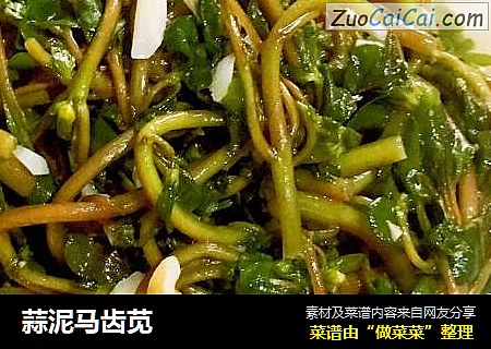 蒜泥马齿苋