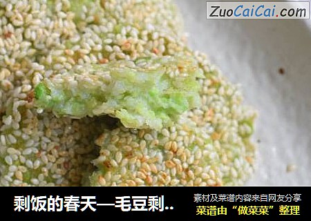剩饭的春天—毛豆剩饭煎饼