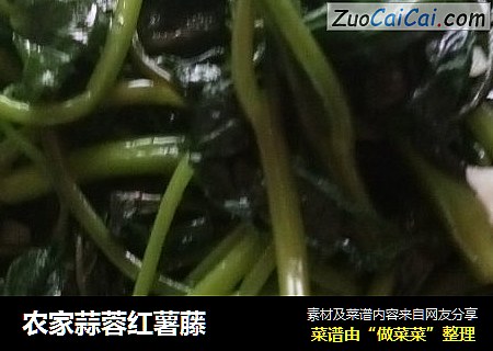 农家蒜蓉红薯藤